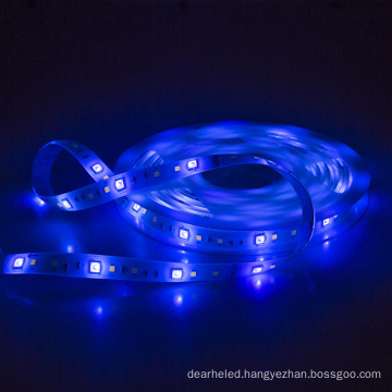 Power Max.24w Cri >80 Luminous Efficiency 80 Lm/w Ip Rating Ip20 / Ip65 Led Light Strip Rgb